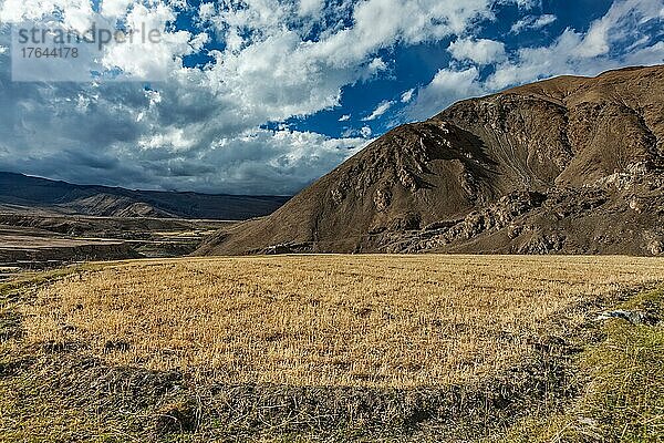 HimalayaLandschaft mit landwirtschaftlichen Feldern in den Bergen  Ladakh  Indien  Asien