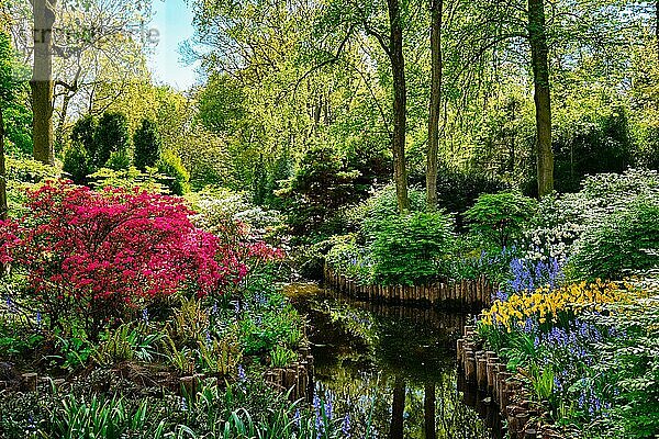 Keukenhof flower garden  also known as the Garden of Europe. One of the world's largest flower gardens. Lisse  the Netherlands