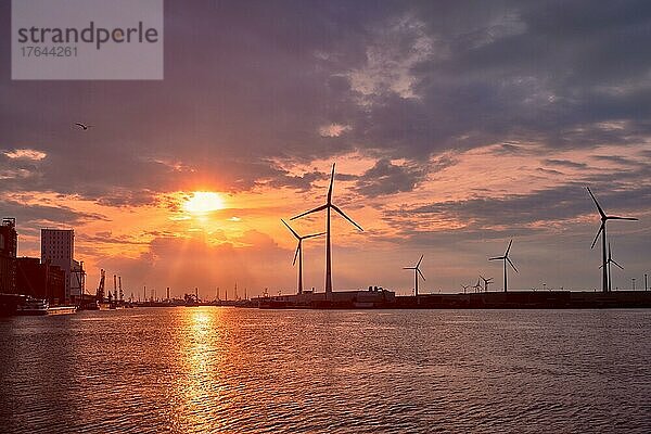 Windturbinen treiben bei Sonnenuntergang Stromgeneratoren im Hafen von Antwerpen an. Antwerpen  Belgien  Europa