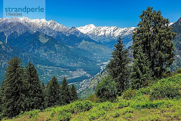 Spring meadow in Kullu valley in Himalaya mountains. Himachal Pradesh  India