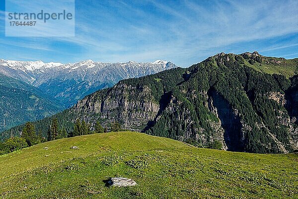 Spring meadow in Kullu valley in Himalaya mountains. Himachal Pradesh  India