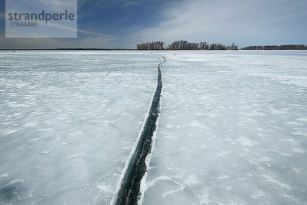 Crack in the ice  Saint Lawrence River  Province of Quebec  Canada