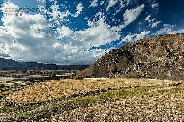 HimalayaLandschaft mit landwirtschaftlichen Feldern in den Bergen  Ladakh  Indien  Asien