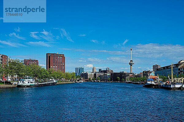 Blick auf das Stadtbild von Rotterdam mit dem Aussichtsturm Euromast. Rotterdam  Niederlande  Europa