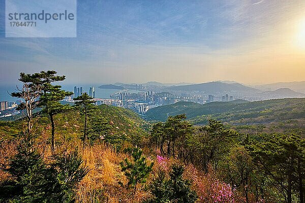 Busan cityscape with skyscrapers and Gwangan Bridge on sunset from Jangsan peak. Busan  South Korea