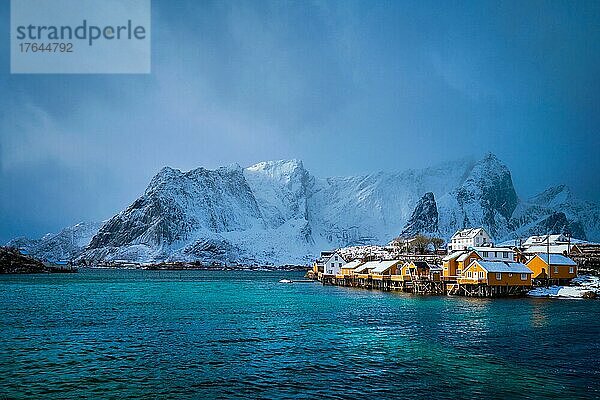 Yellow rorbu houses of Sakrisoy fishing village with snow in winter. Lofoten islands  Norway