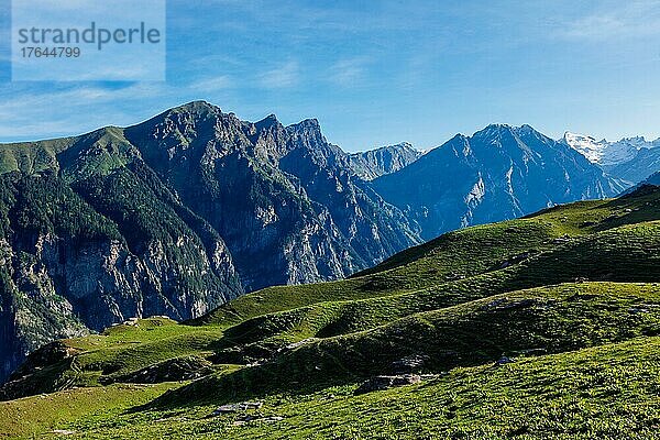 Spring meadow in Kullu valley in Himalaya mountains. Himachal Pradesh  India