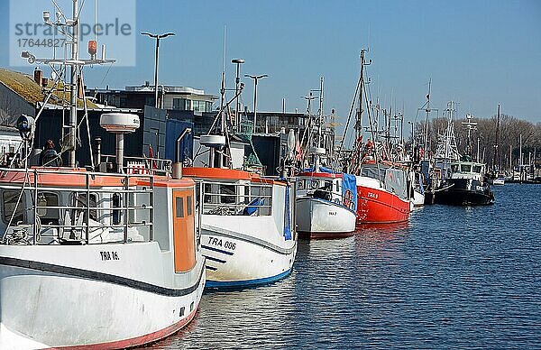 Fischkutter im Fischereihafen Travemünde  Schleswig-Holstein  Deutschland  Europa