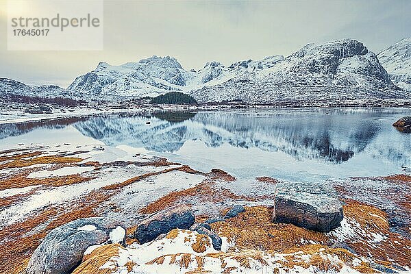 Norwegian fjord in winter. Lofoten islands  Norway