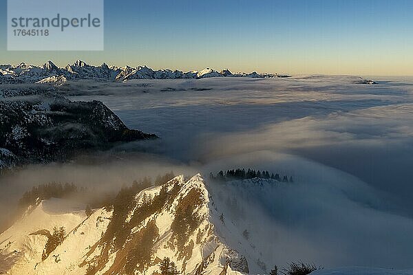 Winterliche Gipfel der Tannheimer Berege mit Nebelmeer im Morgenlicht  Branderschrofen  Füssen  Ostallgäu  Schwaben  Bayern  Deutschland  Europa