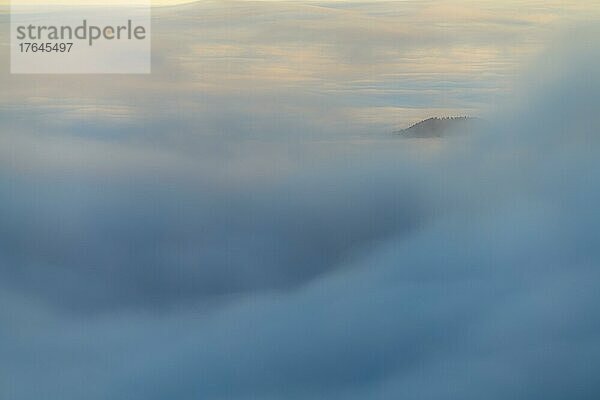 Nebelmeer mit kleiner  bewaldeten Bergkuppe  Branderschrofen  Füssen  Ostallgäu  Schwaben  Bayern  Deutschland  Europa