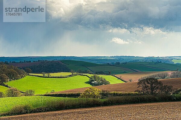 Fields and Meadows over English Village  Devon  England  United Kingdom