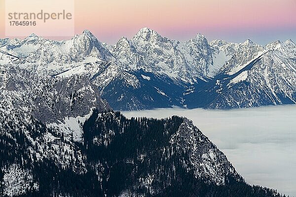 Winterliche Gipfel der Tannheimer Berge bei blauer Stunde mit Nebelmeer  Branderschrofen  Füssen  Ostallgäu  Schwaben  Bayern  Deutschland  Europa