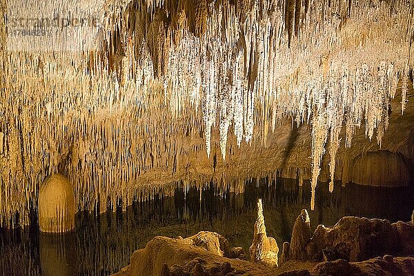 Coves del Drac  Drachenhöhlen  Tropfsteinhöhle mit unterirdischem See  Porto Cristo  Mallorca  Spanien  Europa