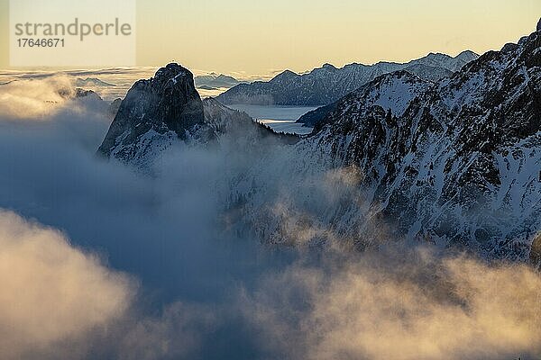 Winterliche Gipfel der Ammergauer Berge mit Nebelmeer im Morgenlicht  Branderschrofen  Füssen  Ostallgäu  Schwaben  Bayern  Deutschland  Europa