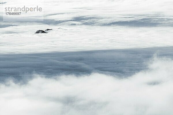 Nebelmeer mit kleiner  bewaldeten Bergkuppe  Branderschrofen  Füssen  Ostallgäu  Schwaben  Bayern  Deutschland  Europa