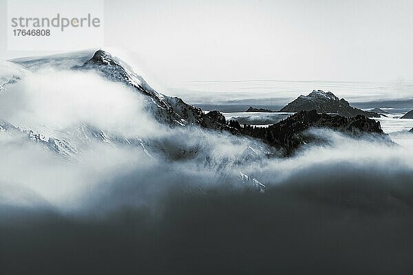 Winterliche Gipfel der Ammergauer Berge mit Nebelmeer in Schwarzweiß  Branderschrofen  Füssen  Ostallgäu  Schwaben  Bayern  Deutschland  Europa