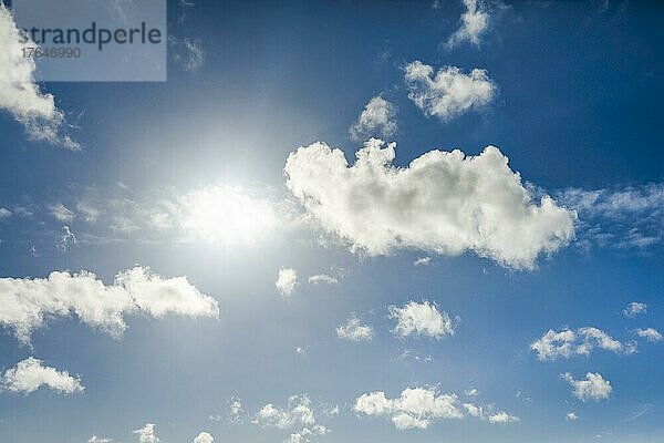 Sonne hinterleuchtet Wolken (Cumulus) am blauen Himmel