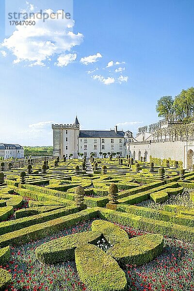 The Chateau and ornamental garden of Villandry  Frankreich  Europa