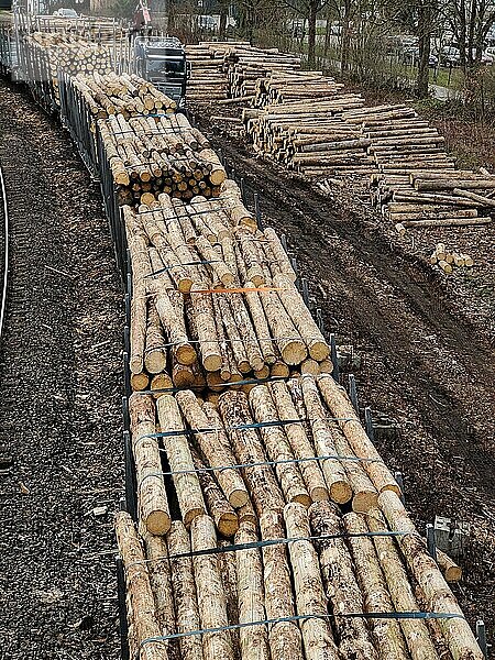 Holztransport auf der Schiene  Witten  Ruhrgebiet  Nordrhein-Westfalen  Deutschland  Europa