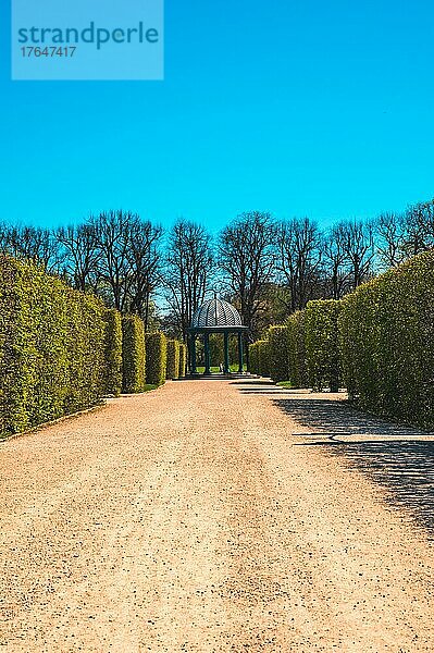 Herrenhäuser Gärten in Hannover  die zu den bedeutendsten Barockgärten in Europa zählen im Frühling bei blauen Himmel  Hannover  Niedersachsen  Deutschland  Europa