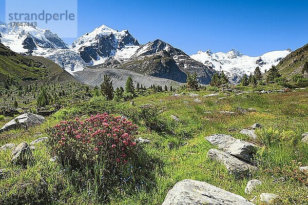 Val Roseg  Schweiz  Europa