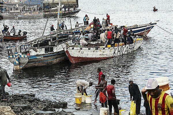 Fischer und Fischhändler am Fischereihafen  Fischerboote  Stone Town  Unguja  Sansibar  Tansania  Afrika