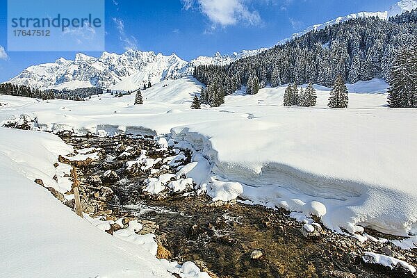 Alpsteinmassiv mit Säntis  Appenzell  Schweiz  Europa