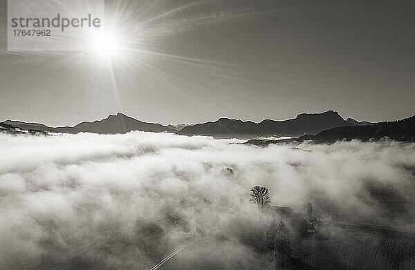 Schafberg und Drachenwand ragen aus dem Nebelmeer  Inversionswetterlage  Drohnenaufnahme  Sepiafarben  Mondsee  Mondseeland  Salzkammergut  Oberösterreich  Österreich  Europa