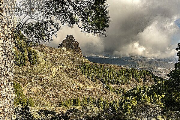 Landschaft in den Bergen von Gran Canaria  Gran Canaria  Kanarische Inseln  Spanien  Europa