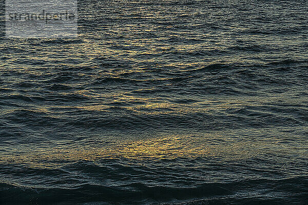 Dunkle Meereswellen am frühen Morgen  die goldenes Sonnenlicht reflektieren
