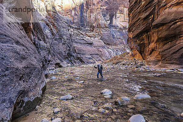 Vereinigte Staaten  Utah  Zion-Nationalpark  Ältere Wanderin watet durch die Narrows des Virgin River im Zion-Nationalpark