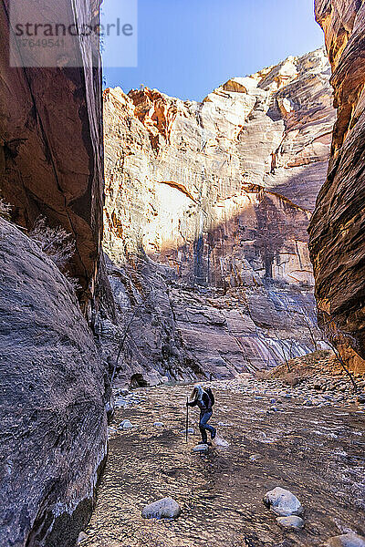 Vereinigte Staaten  Utah  Zion-Nationalpark  Ältere Wanderin watet durch die Narrows des Virgin River im Zion-Nationalpark