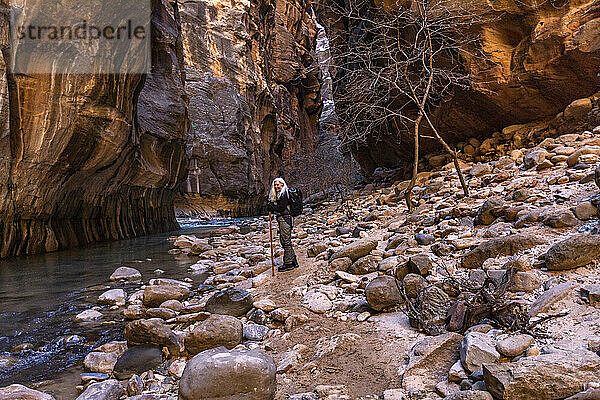 USA  Utah  Zion-Nationalpark  Ältere Wanderin an den Narrows of Virgin River im Zion-Nationalpark