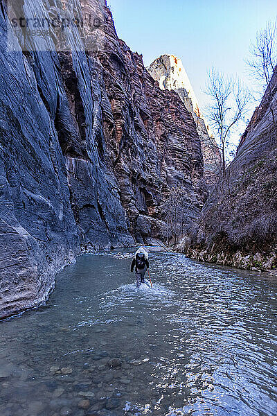 Vereinigte Staaten  Utah  Zion-Nationalpark  Rückansicht einer älteren Wanderin  die durch die Narrows of Virgin River im Zion-Nationalpark watet