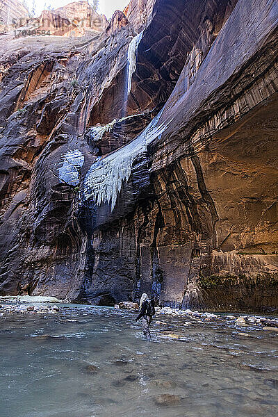 Vereinigte Staaten  Utah  Zion-Nationalpark  Ältere Wanderin watet durch die Narrows des Virgin River im Zion-Nationalpark