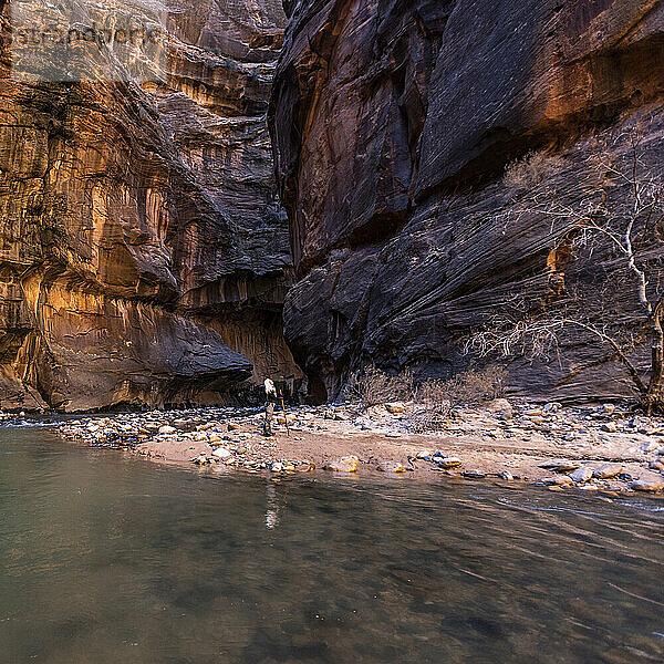 USA  Utah  Zion-Nationalpark  Ältere Wanderin an den Narrows of Virgin River im Zion-Nationalpark