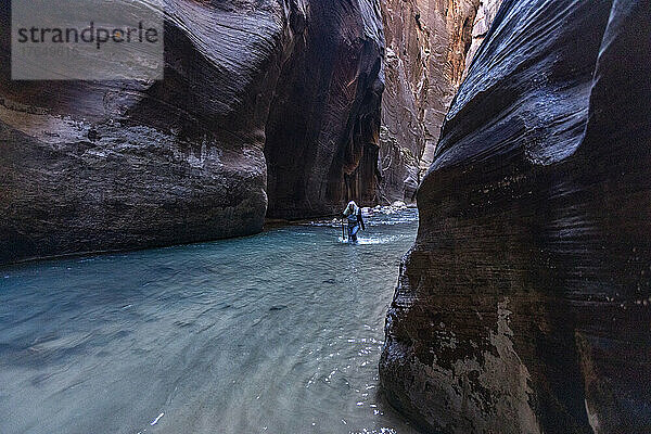 Vereinigte Staaten  Utah  Zion-Nationalpark  Ältere Wanderin watet durch die Narrows des Virgin River im Zion-Nationalpark