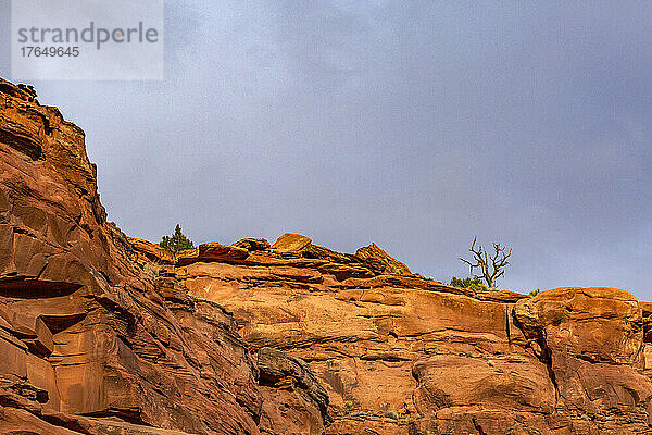 USA  Utah  Escalante  Felsformationen im Grand Staircase Escalante National Monument