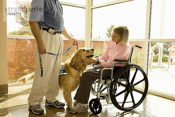 Hundegestützte Therapie für Patienten im Rollstuhl