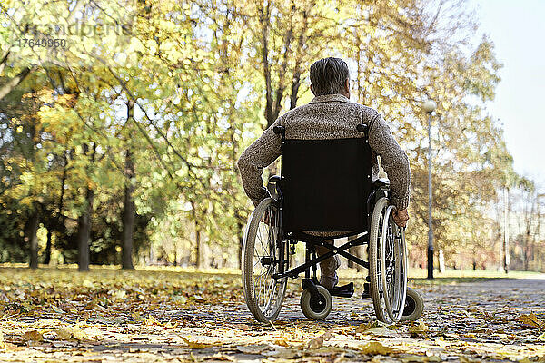 Behinderter älterer Mann sitzt im Rollstuhl im Herbstpark