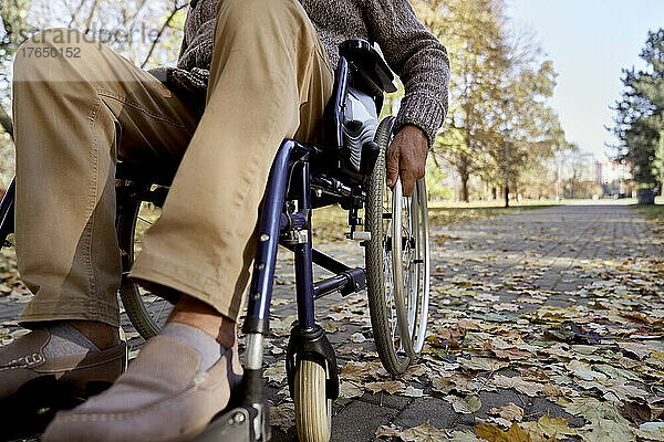 Behinderter älterer Mann sitzt im Rollstuhl im Herbstpark