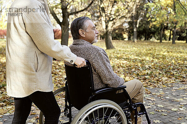 Behinderter älterer Mann sitzt im Rollstuhl und wird von einer Frau im Park geschoben