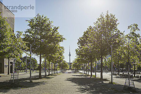 Deutschland  Berlin  von Bäumen gesäumte Straße im Regierungsviertel mit dem Berliner Fernsehturm im Hintergrund