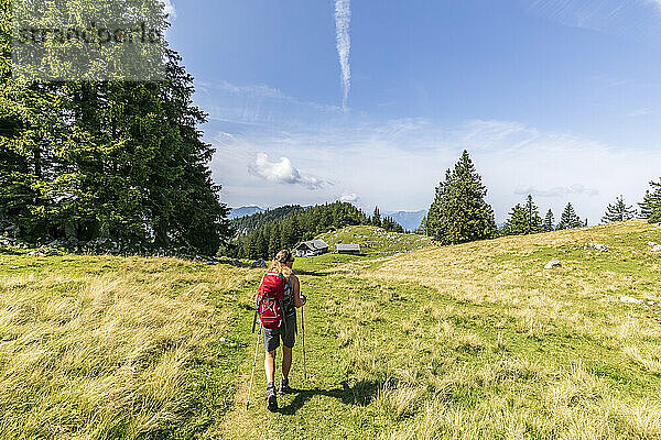 Frau mit Rucksack spaziert mit Wanderstock auf der Wiese