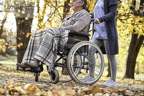 Gesundheitshelfer geht mit behindertem Mann im Rollstuhl im Park spazieren