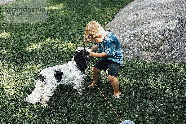 Boy playing with puppy on grass