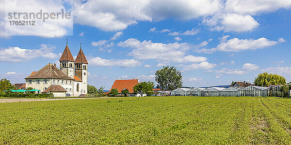 Deutschland  Baden-Württemberg  Insel Reichenau  landwirtschaftliches Feld im Sommer mit der Basilika St. Peter und Paul im Hintergrund