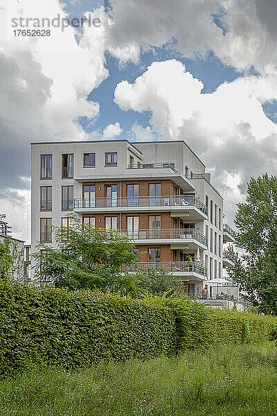 Deutschland  Berlin  Hecke vor modernem Mehrfamilienhaus im Neubaugebiet