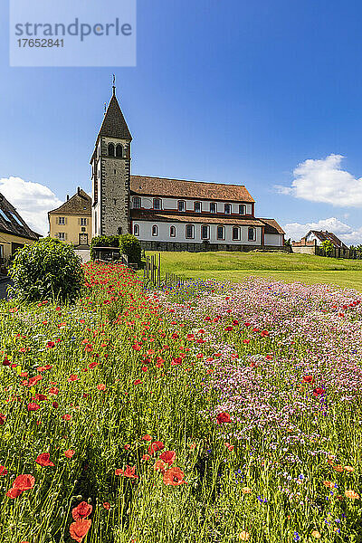 Deutschland  Baden-Württemberg  Insel Reichenau  Klatschmohn blüht auf einer Sommerwiese mit der Basilika St. Peter und Paul im Hintergrund